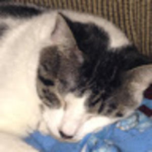 Meet your Posher, Catie